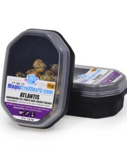 Buy Magic Truffles Atlantis Online - High Potency Sclerotia