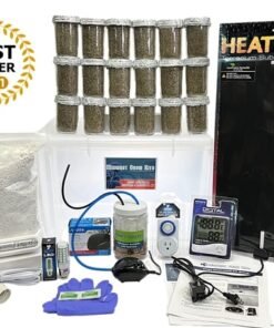 Buy Magic Mushroom Grow Kit Online - Easy & Fast