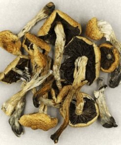 Free 3.5g Dried Shroom