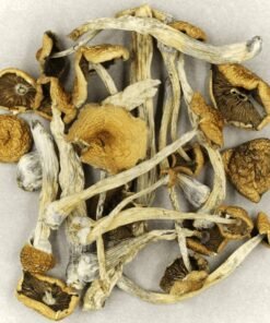 Bonus 3.5g Shrooms Delivery Canada