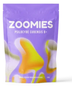 B+ Magic Mushrooms