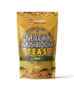 Buy Magic Mushroom Tea 1000MG | Mango Flavor