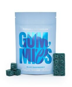 Buy Euphoria Psychedelics Blue Raspberry Gummy 1000mg